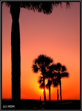 Sonnenuntergang in Madeira Beach