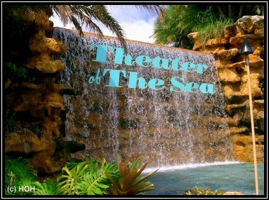 Theater of the sea