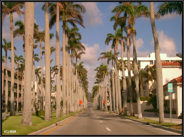 Die Hauptdurchgangsstraße im Nobel-Ort Palm Beach