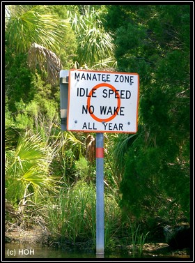 Manatee Zone Schild