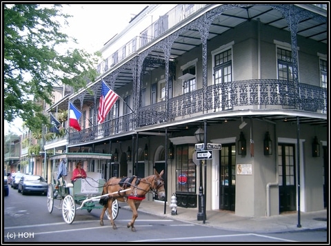 Muss nicht wirklich sein: Mit der Pferdekutsche durchs French Quarter