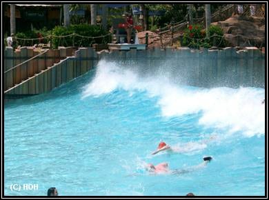 Typhoon Lagoon Surfpool
