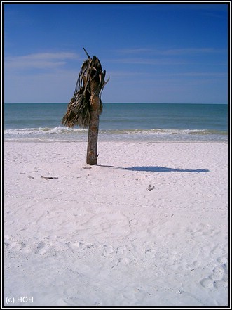 Honeymoon Island