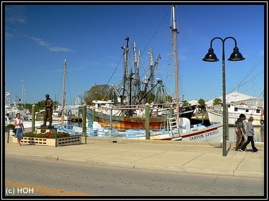 Sponge Docks in Tarpon Springs