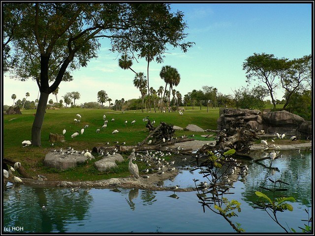 Edge of Africa