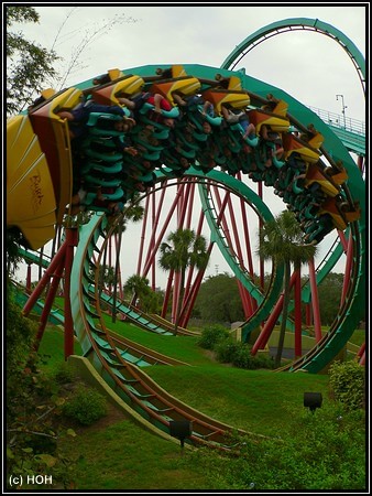 Sheikra Kumba Co Ein Tag In Busch Gardens Bei Tampa