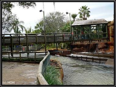 Tidal Wave ... die Brücke als ideale Dusch-Location