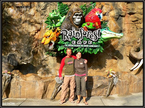 Welcome to the Jungle ... Rainforest Cafe in Downtown Disney