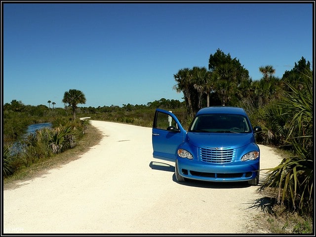 Ein Traum in weiß ... der Black Point Wildlife Drive