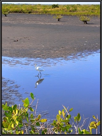 Nette Spiegelung im Wasser