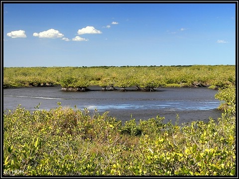 Black Point Wildlife Drive