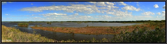 Wildlife Drive Panorama