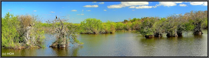 Am Anhinga Trail Am Anhinga Trail