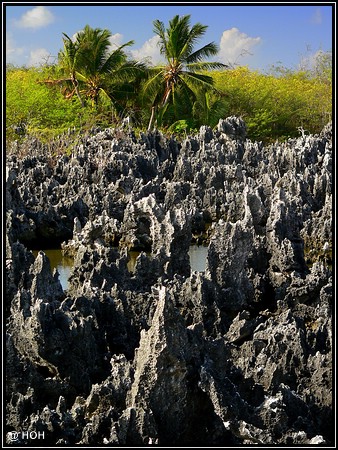 Die Hölle auf Erden ... auf den Cayman Islands