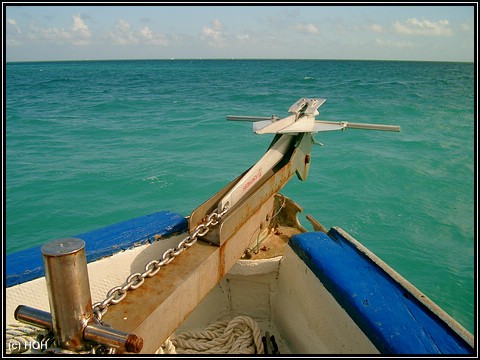 Unterwegs nach Stingray City