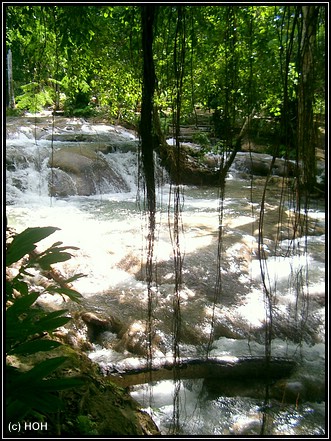Dunn's River Falls