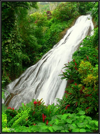 Wasserfall in Shaw Park Gardens