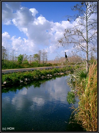 Am Tamiami Trail