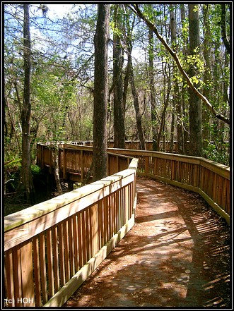 Kirby Storter Boardwalk