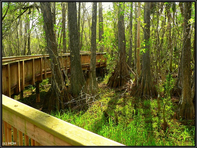 Kirby Storter Roadside Park