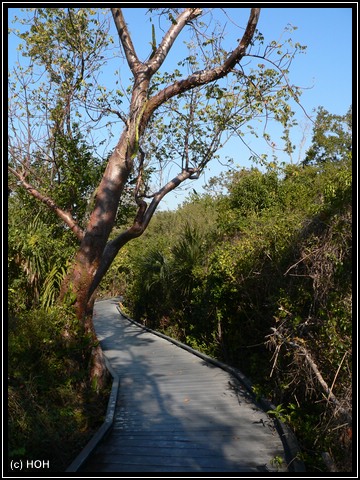 Shell Mound Trail