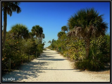 Der Weg nach Bowmans Beach