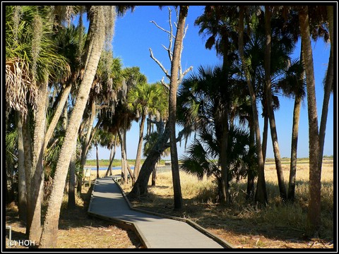 Birdwalk im Myakka River State Park