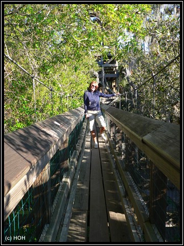 Canopy Walkway