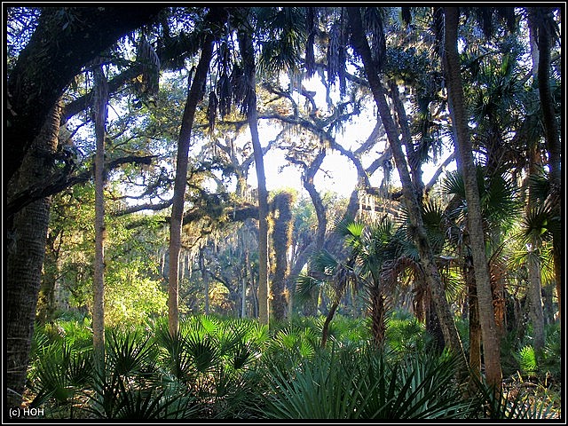 Nature Trail