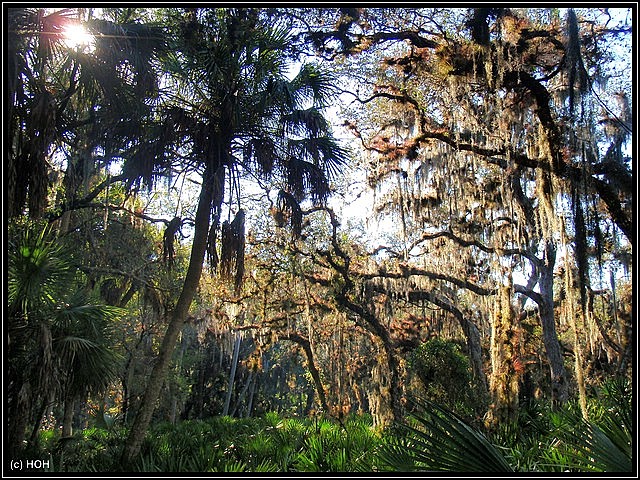 Nature Trail