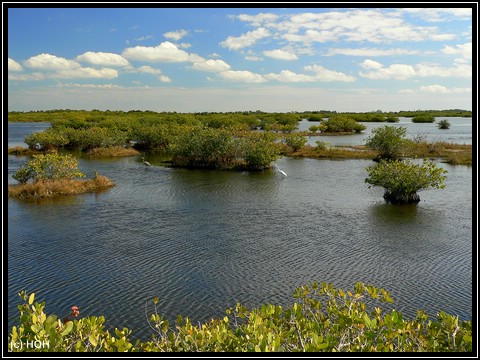 Blackpoint Wildlife Drive
