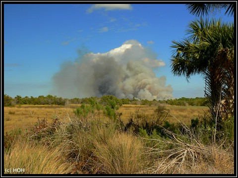 Feuer auf Merritt Island