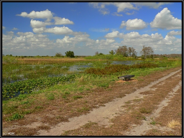Marsh Trail im Loxahatchee Wildlife Refuge