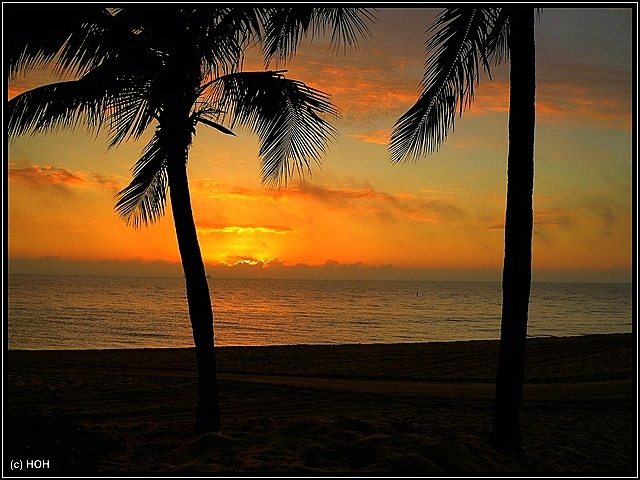 Sonnenaufgang am letzten Morgen in Ft.Lauderdale