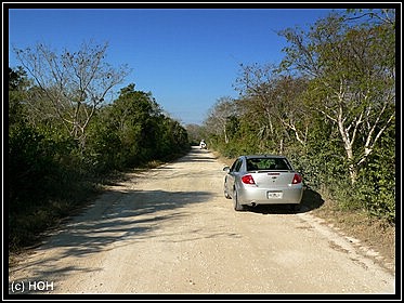 Auf der Loop Road