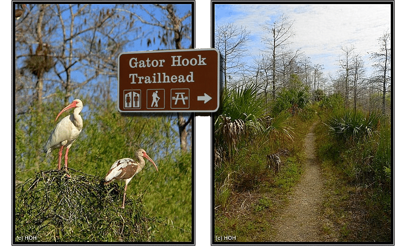 Gator Hook Trailhead an der Loop Road