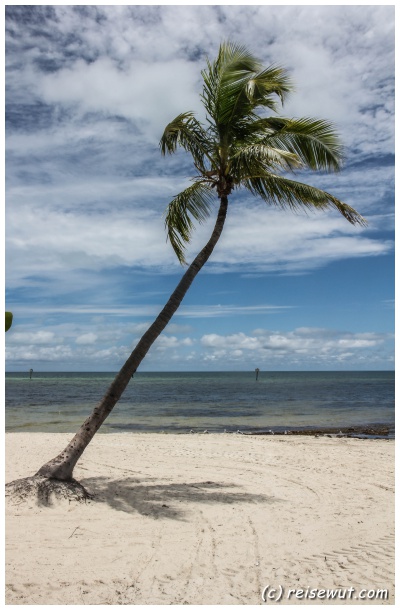 Smathers Beach