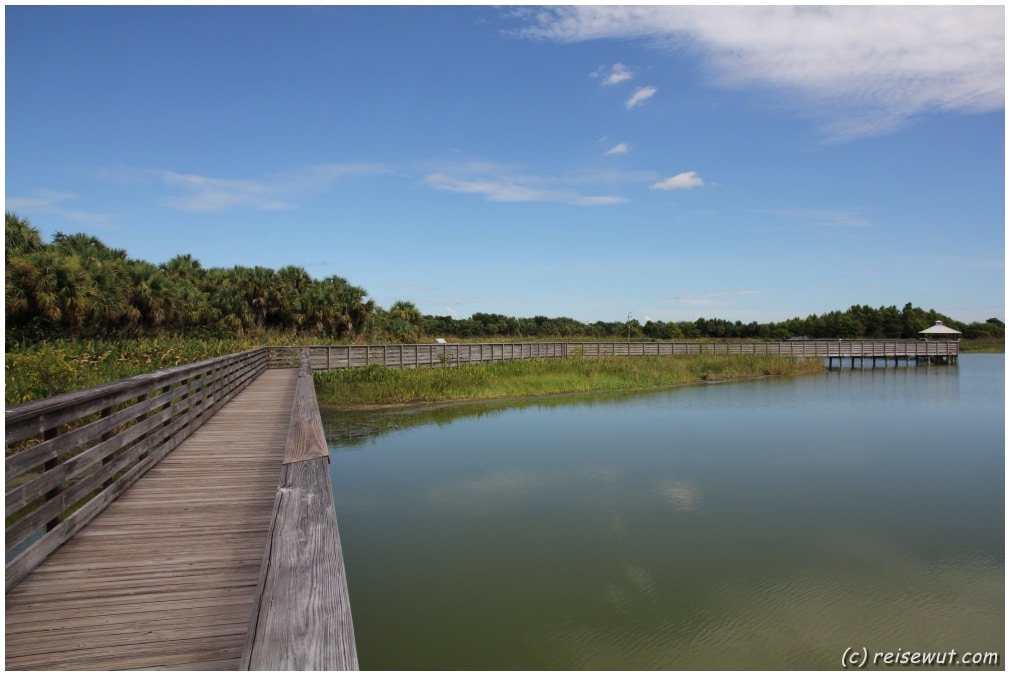 Der hölzerne Boardwalk in den Green Cay Wetlands