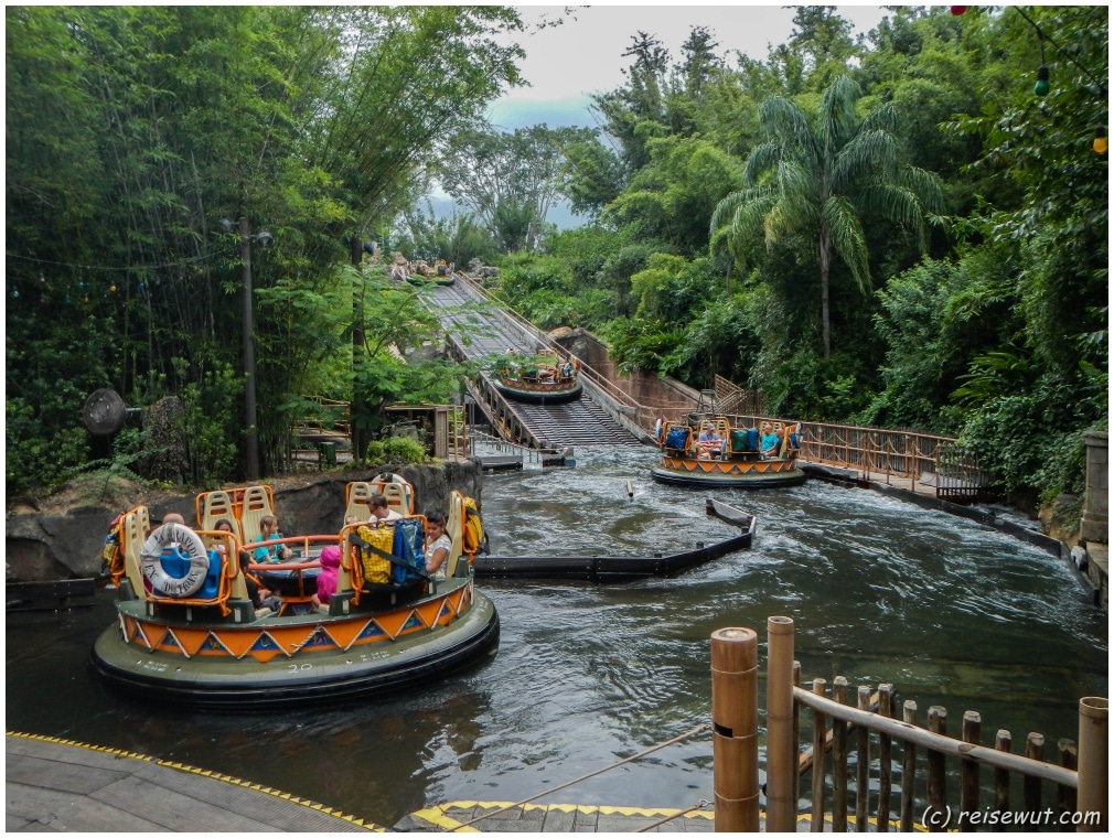 Auf den Kali River Rapids bleibt kein Augen (und keine Hose) trocken