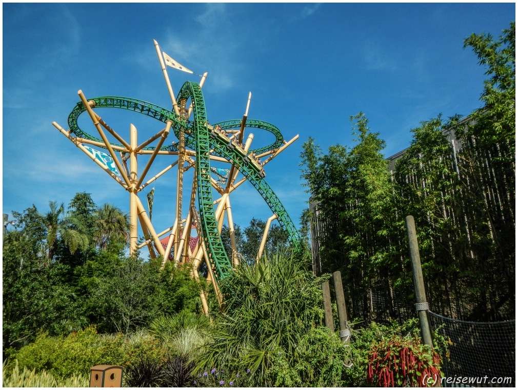 Der Cheetah Hunt Coaster in Busch Gardens mit seinem "Knoten"