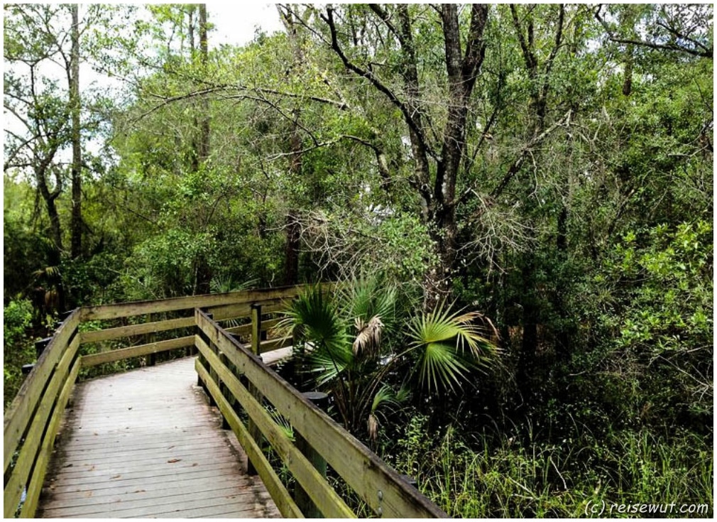 Boardwalk im Six Miles Cypress Slough Preserve