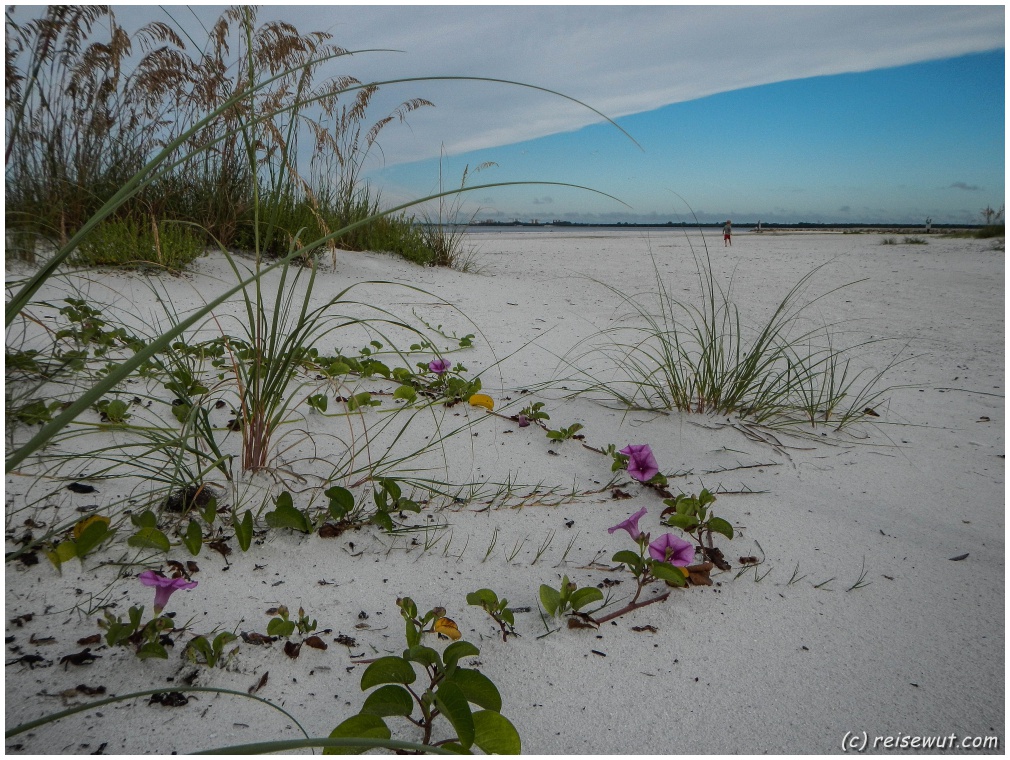 Bowditch Point Regional Park