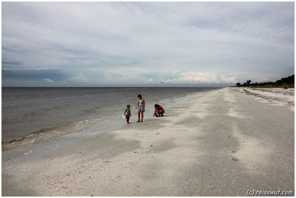 Muscheln sammeln am Strand von Sanibel Island