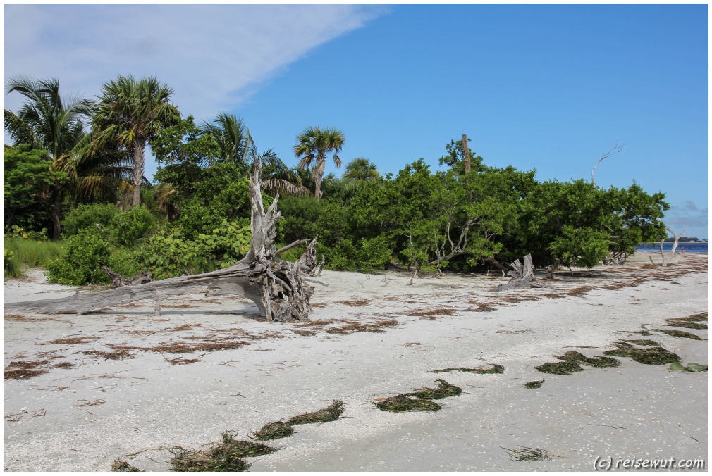 Der Strand von Sanibel