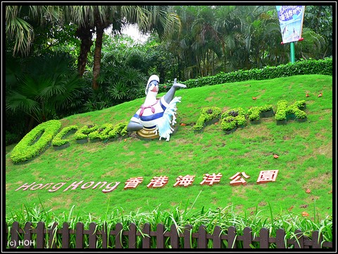 Am Nordeingang vom Ocean Park
