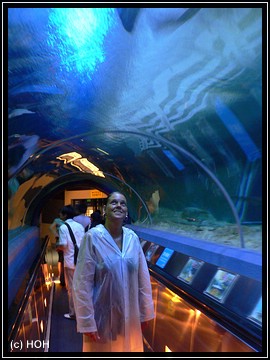 Haitunnel