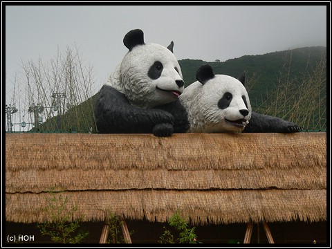 Eingang zum Pandagehege
