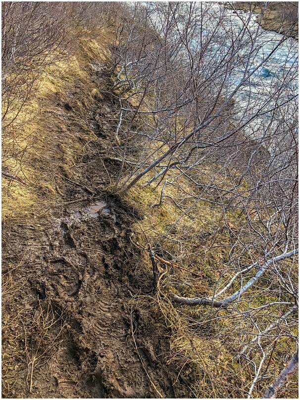 Trail, matschig und gewöhnungsbedürftig