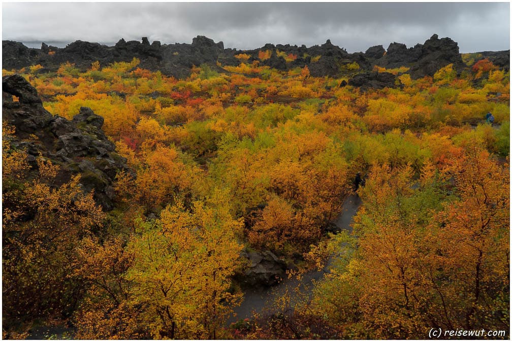 Herbstfarben in Dimmuborgir, schaut das nicht mal irre aus?