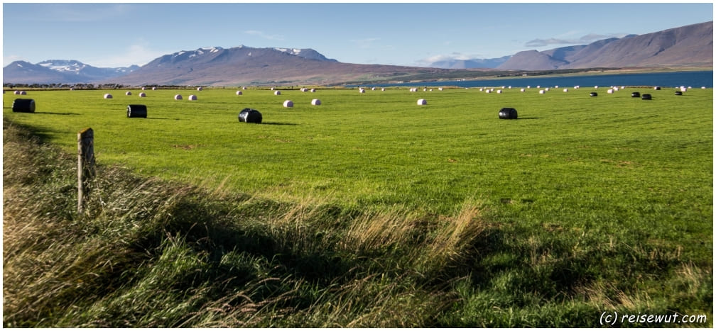 Feld bei Akureyri